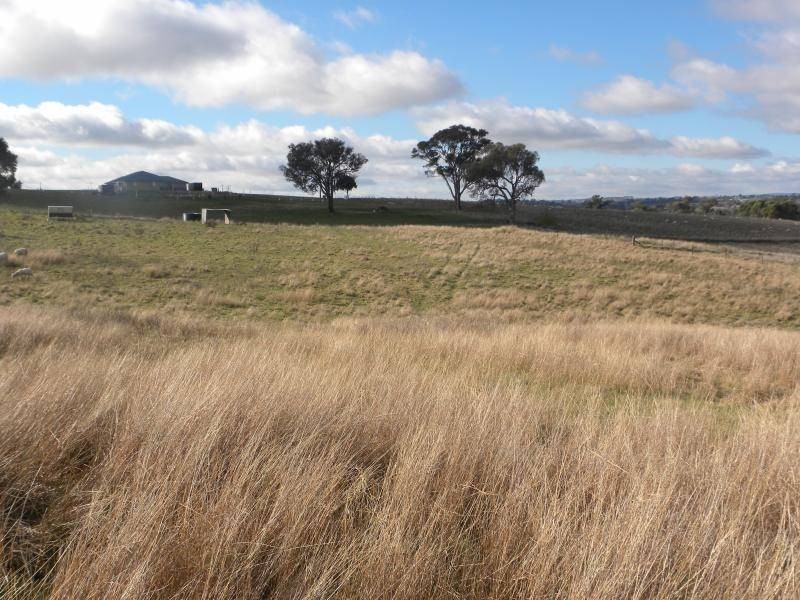 440 Milvale Road, Young NSW 2594