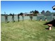 7 Garland Place, Young NSW 2594
