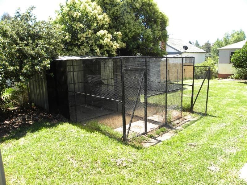 116 William Street, Young NSW 2594
