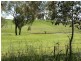130 Hollands Road, Young NSW 2594