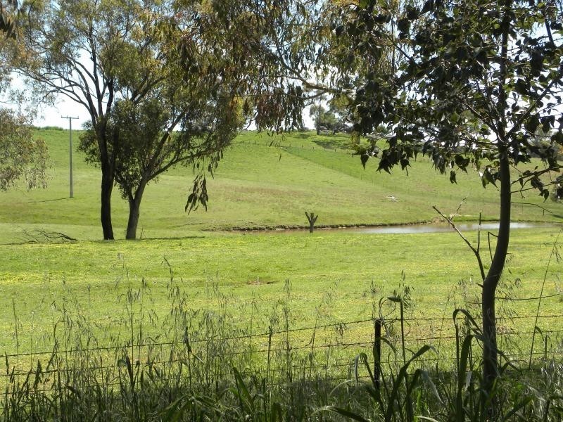 130 Hollands Road, Young NSW 2594