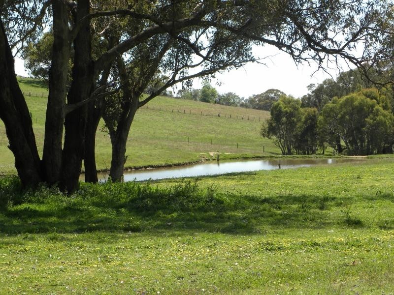 130 Hollands Road, Young NSW 2594