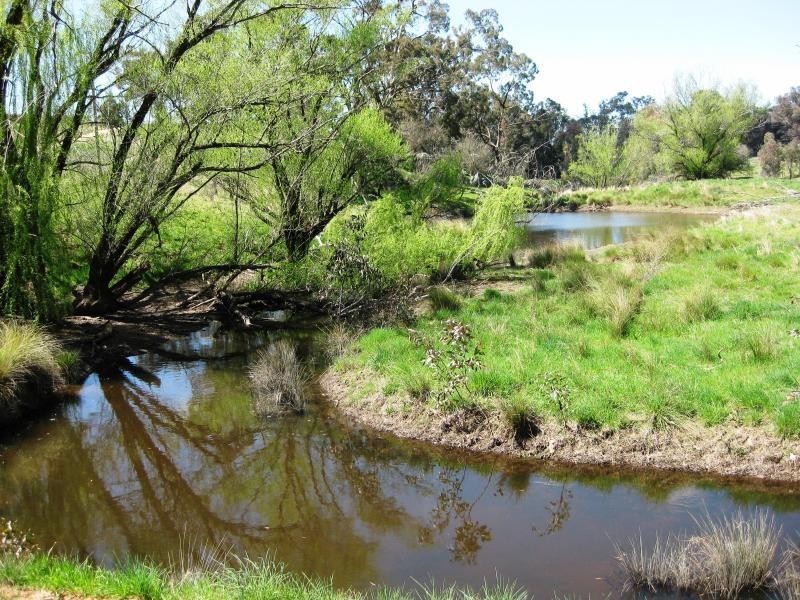 55 Chinamans Creek Road “Boorinya”, Wombat NSW 2587