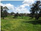 55 Chinamans Creek Road “Boorinya”, Wombat NSW 2587