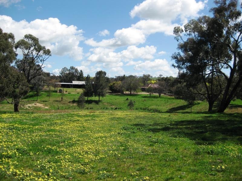 55 Chinamans Creek Road “Boorinya”, Wombat NSW 2587