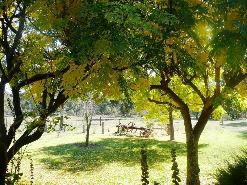 55 Chinamans Creek Road “Boorinya”, Wombat NSW 2587