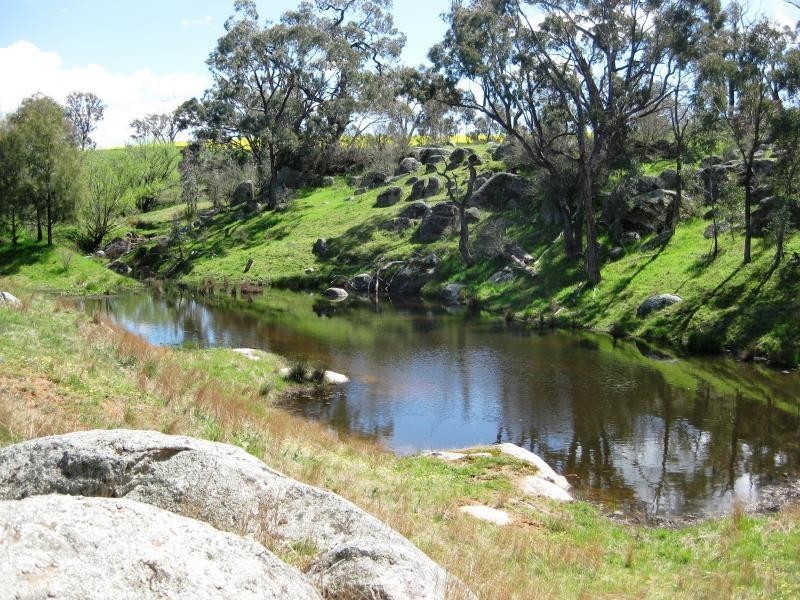 55 Chinamans Creek Road “Boorinya”, Wombat NSW 2587
