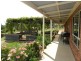 59 Thornell Road, Young NSW 2594
