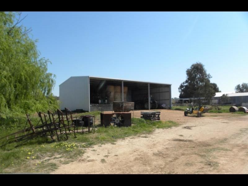 99 Buchannans Road, Young NSW 2594