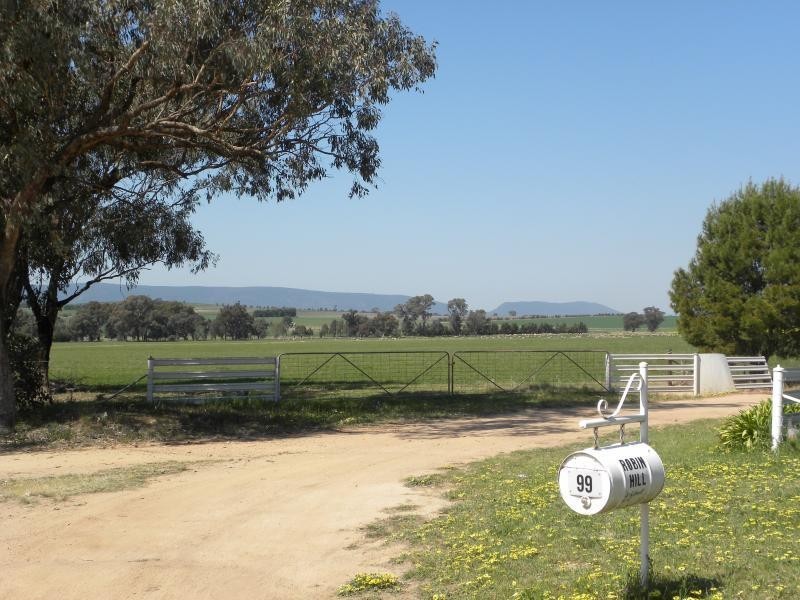 99 Buchannans Road, Young NSW 2594