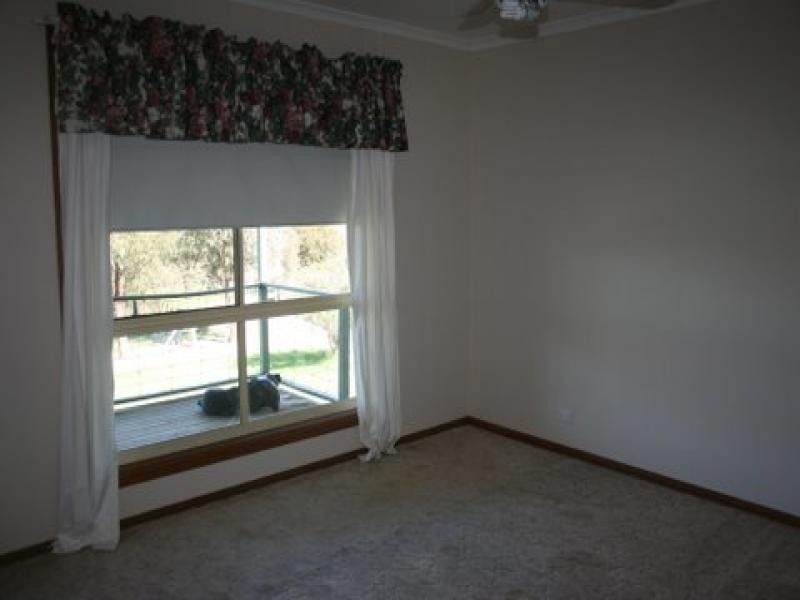 219 Pattersons Lane, Young NSW 2594