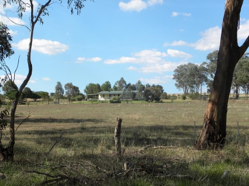 219 Pattersons Lane, Young NSW 2594