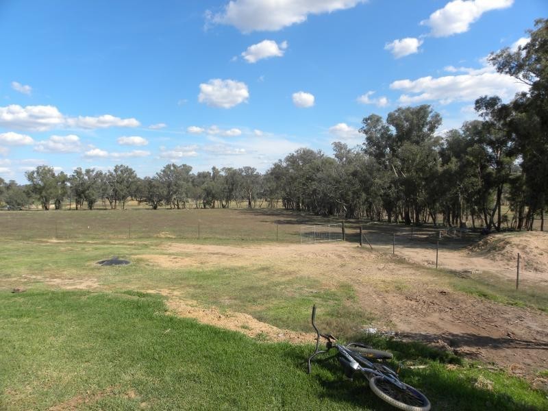 219 Pattersons Lane, Young NSW 2594