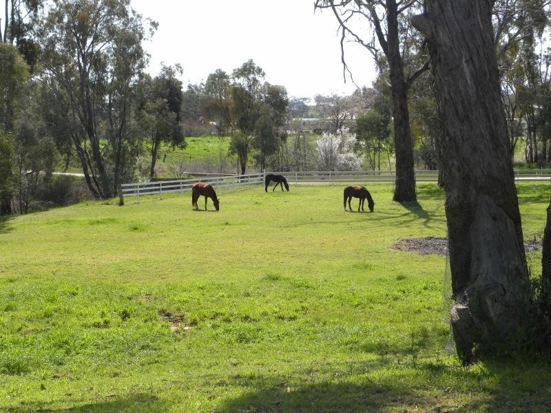 Lot/1 Chums Lane, Young NSW 2594