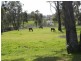 Lot/1 Chums Lane, Young NSW 2594