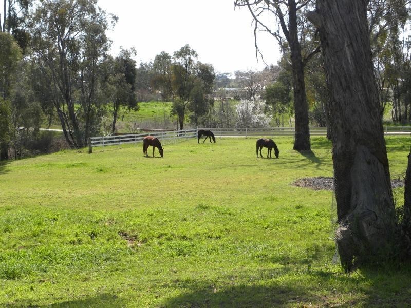 Lot/1 Chums Lane, Young NSW 2594