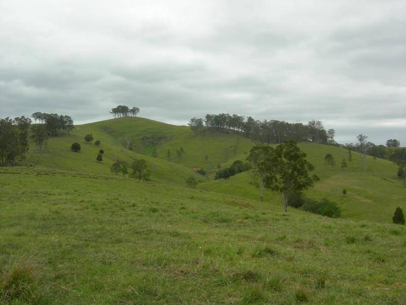 Tipperary NSW 2429