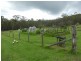 Nabiac NSW 2312