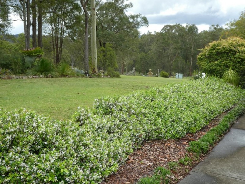 Nabiac NSW 2312