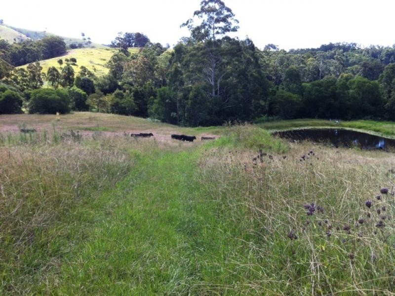 Krambach NSW 2429