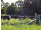 Krambach NSW 2429