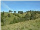Belbora NSW 2422