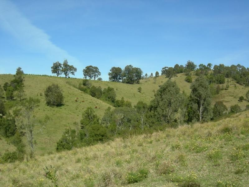Belbora NSW 2422