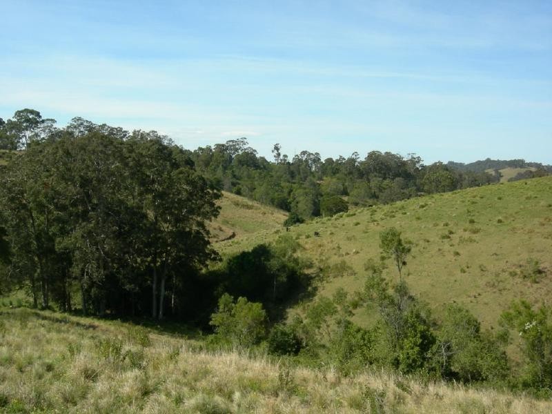 Belbora NSW 2422