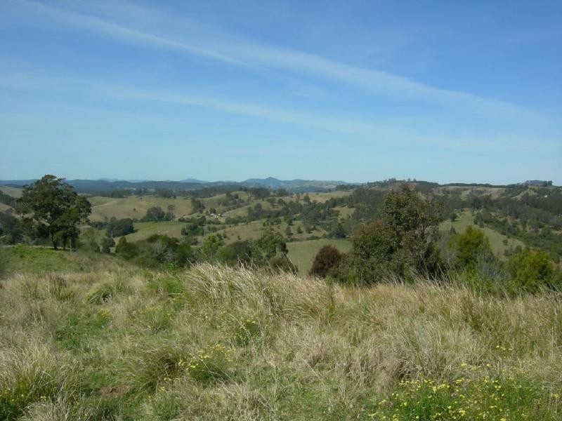 Belbora NSW 2422