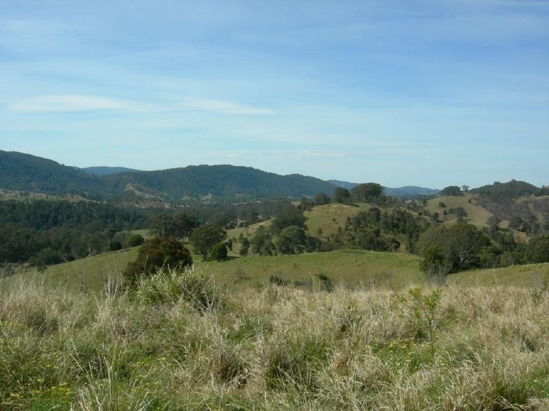 Belbora NSW 2422