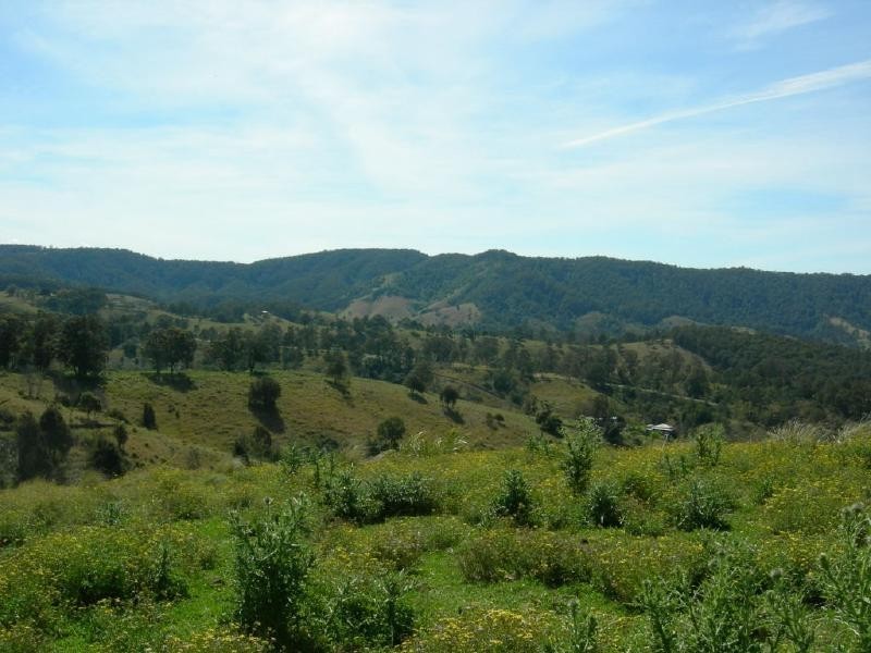Belbora NSW 2422