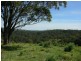 Belbora NSW 2422