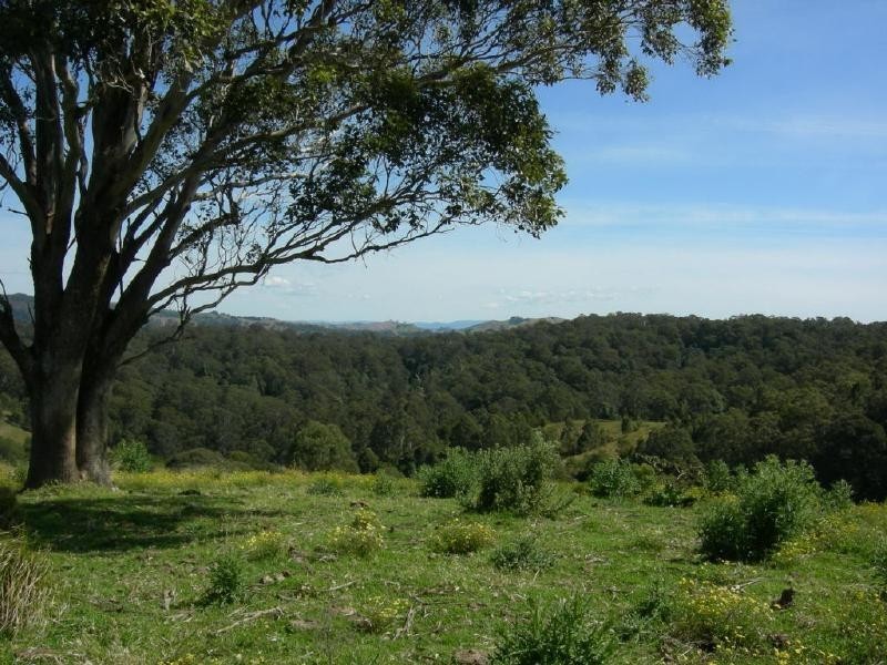 Belbora NSW 2422