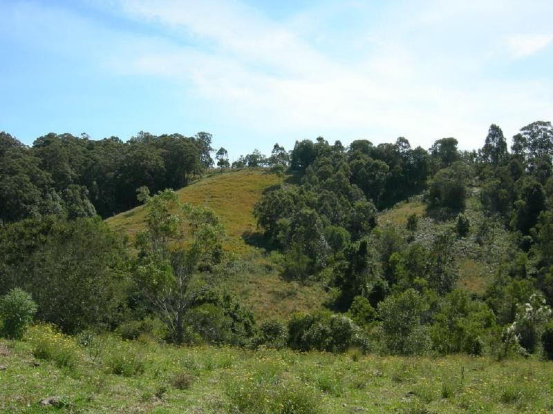 Belbora NSW 2422