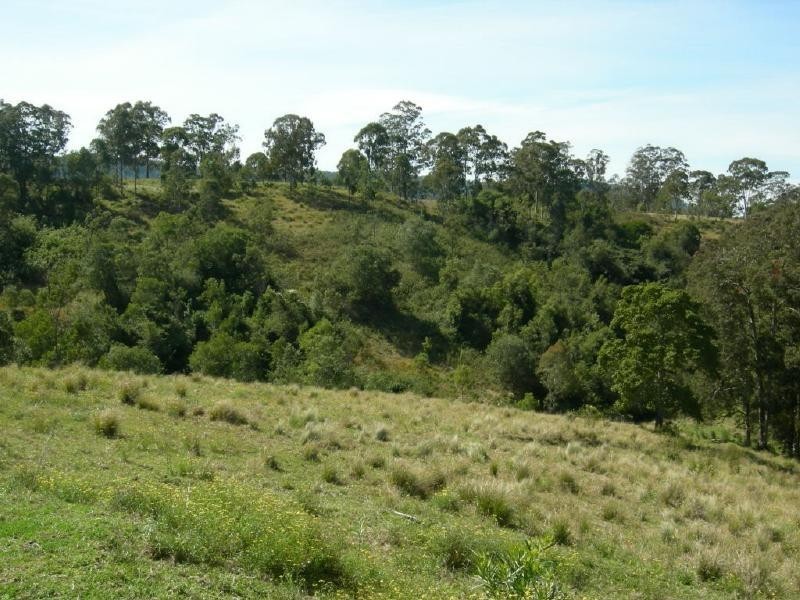Belbora NSW 2422