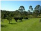 Belbora NSW 2422