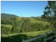 Kundibakh NSW 2429