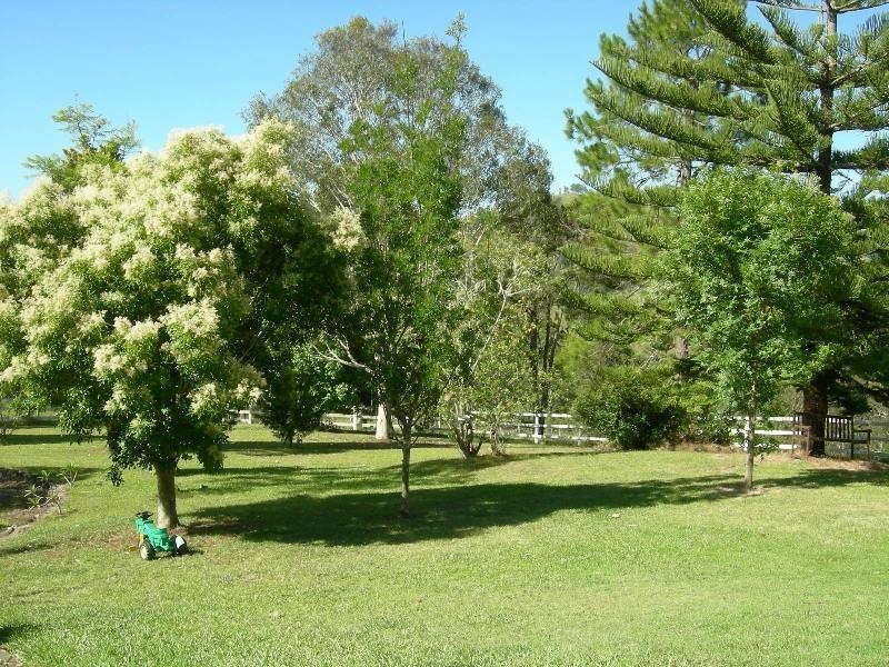Kundibakh NSW 2429