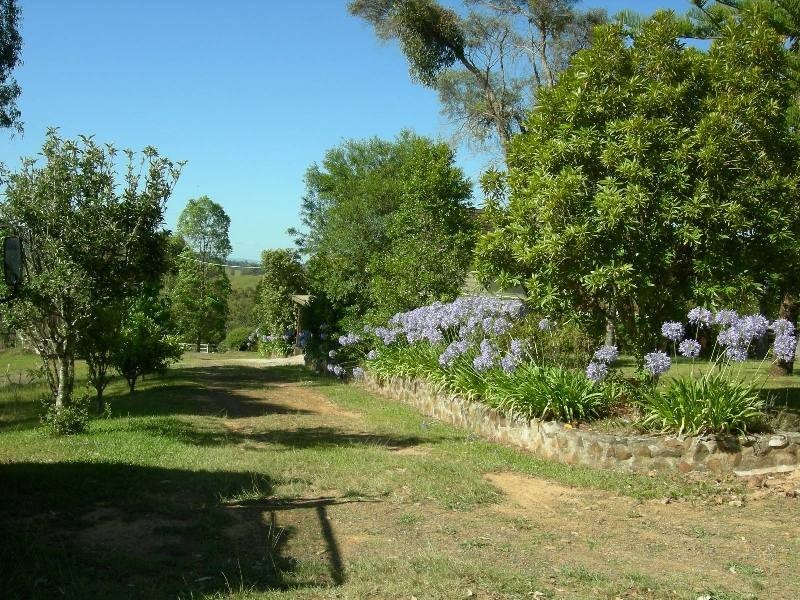 Kundibakh NSW 2429