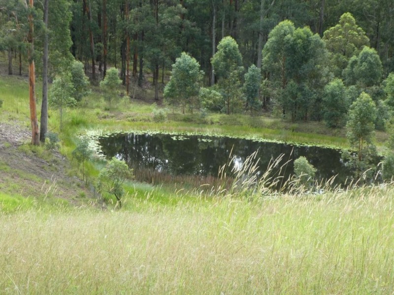 Minimbah NSW 2312