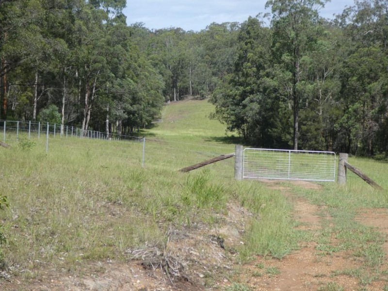 Minimbah NSW 2312