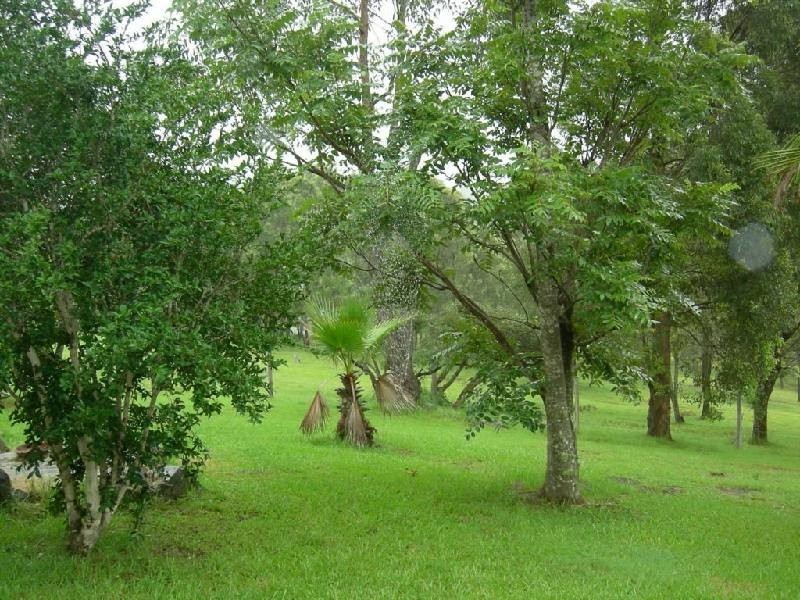 Dyers Crossing NSW 2429