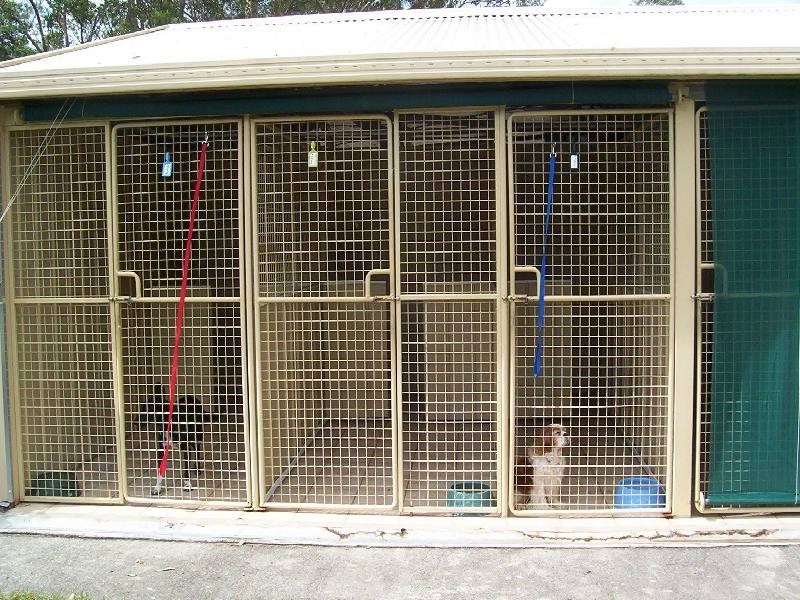 Charity Creek NSW 2424