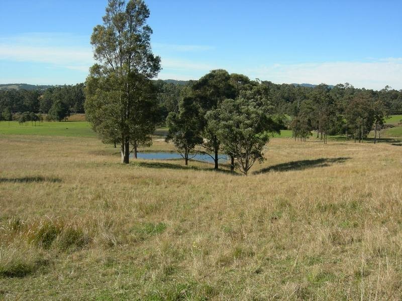 Burrell Creek NSW 2429