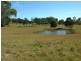 Burrell Creek NSW 2429