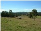Burrell Creek NSW 2429