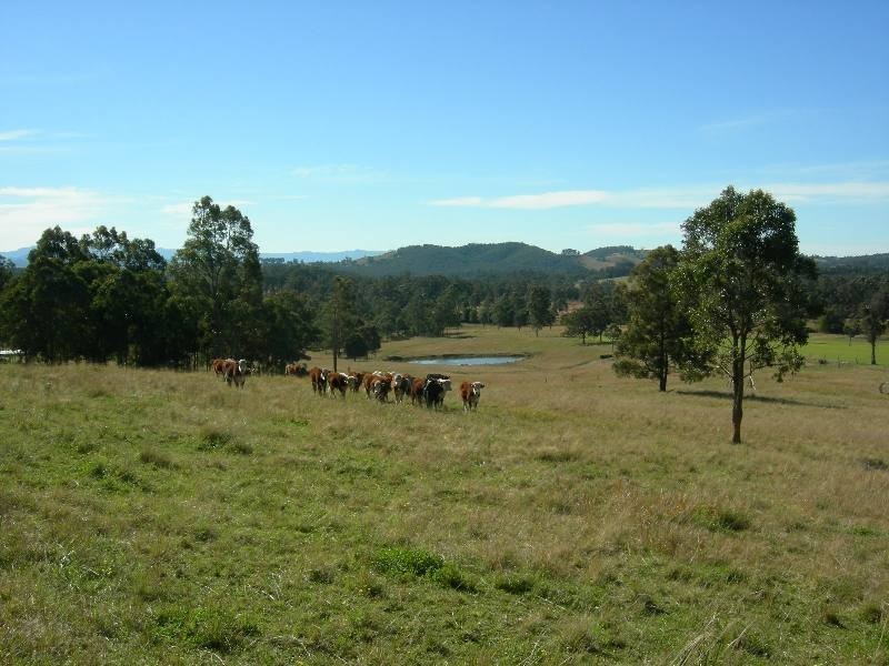 Burrell Creek NSW 2429