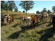 Burrell Creek NSW 2429