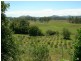 Burrell Creek NSW 2429