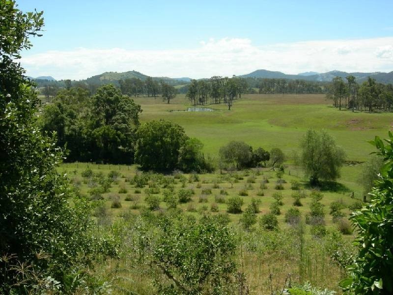 Burrell Creek NSW 2429